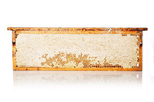 dark honeycomb,