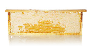 Honeycomb